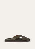 Riviera Slide Walk - Cedar Green